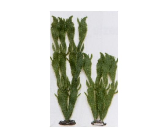 Растение Морской кактус, 30см, зеленое