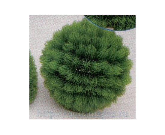 Растение Коврик-шар D22см зеленое