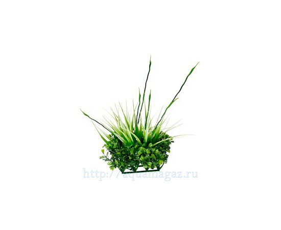 растение для аквариума Fluval Chi растение для аквариума Fluval Chi