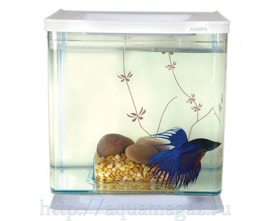 Аквариум Marina Betta Kit Contemporary, 2л, белый Аквариум Marina Betta Kit Contemporary, 2л, белый