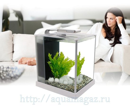Аквариум Fluval SPEC 3, 10л, 30x27,5x22,3см, белый