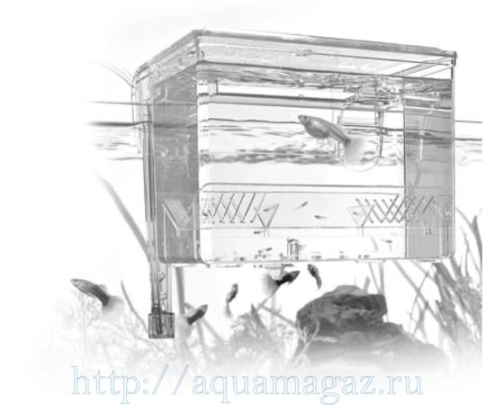 Отсадник, маленький 0,7 литра Отсадник, маленький 0,7 литра