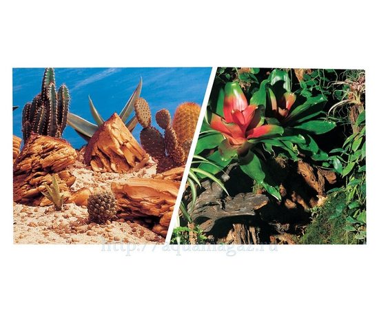 Фон Кактусы/Террариум, 30 см 7,5 м