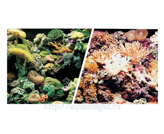 Фон Морской риф/Кораллы 45см 7,5 м