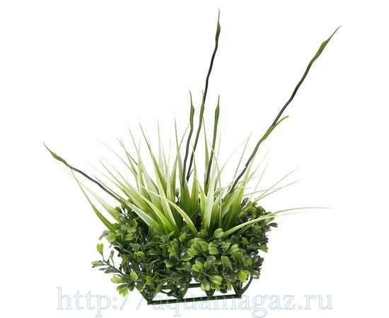 растение для аквариума Fluval Chi растение для аквариума Fluval Chi