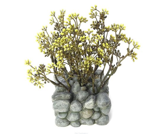 растение для аквариума Fluval Chi с креплением