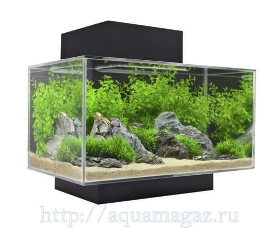 Аквариум  Fluval  Edge LED 23л  43х22.4х26см чёрный