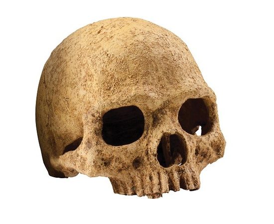 Череп пирата большой