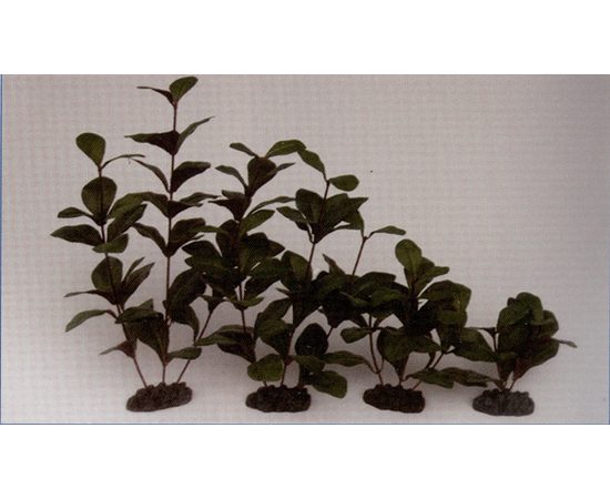 Растение Гигрофила 13см шелковое