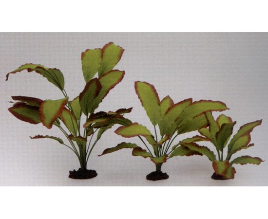 Растение Эхинодорус Озирис 20см шелковое