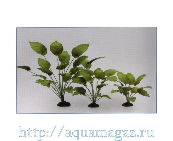 Растение Анубиас Бартера 30см шелковое