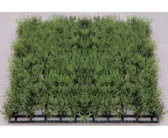 Растение Коврик 12,5х25см, зеленое Растение Коврик 12,5х25см, зеленое