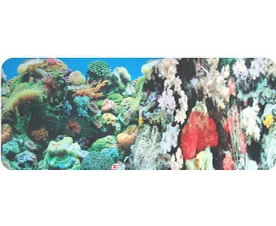 Фон двухсторонний 30см. Кораллы (синий) / Кораллы (синий)