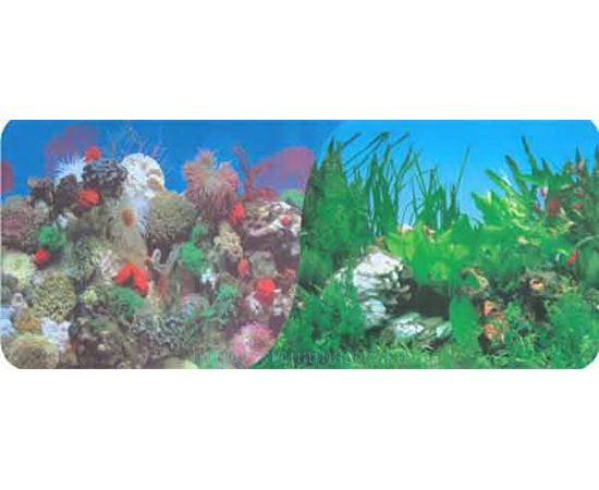 Фон двухсторонний 30см. Кораллы (синий) / Растительный с белым камнем (синий)