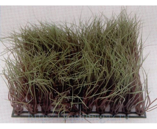 Растение Коврик 25х25см, зеленое