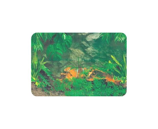 Фон односторонний 40см. Каменная стена с корягой