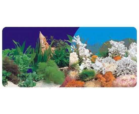 Фон двухсторонний 40см. Растительный (темно-синий) / Белые кораллы морской