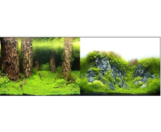 Фон двухсторонний 50см. Затопленный лес   Камни с растениями