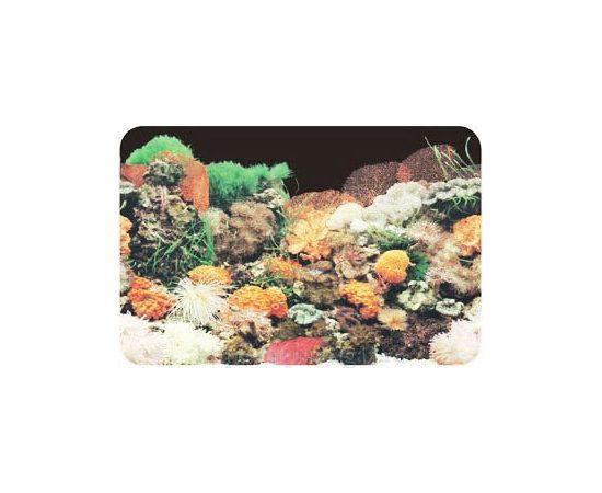 Фон односторонний 50см. Кораллы (черный)