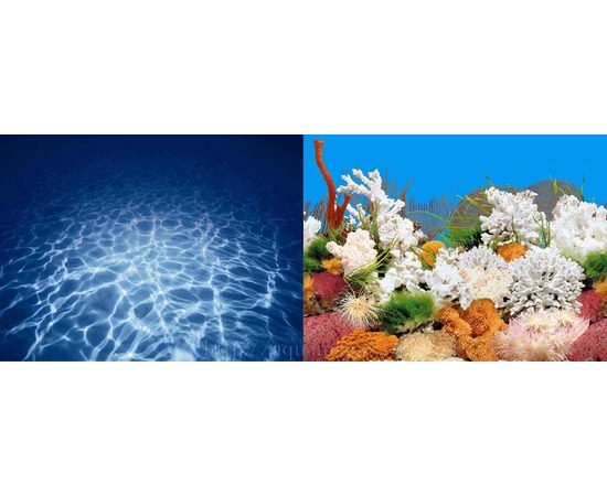 Фон двухсторонний 50см. Синее море/ Белые кораллы