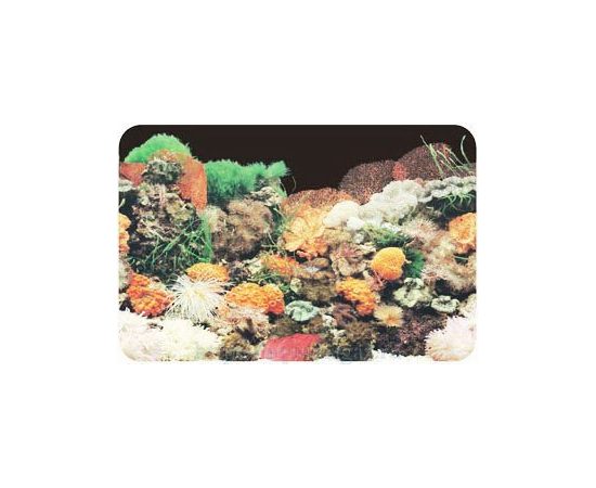 Фон односторонний 60см. Кораллы (черный)