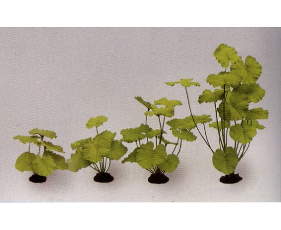 Растение Нимфея, зеленое 40см шелковое