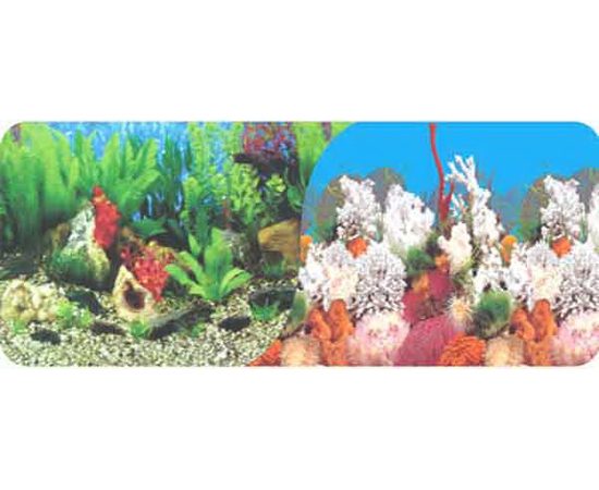 Фон двухсторонний 40см. Растительный пресн. / Белые кораллы морской