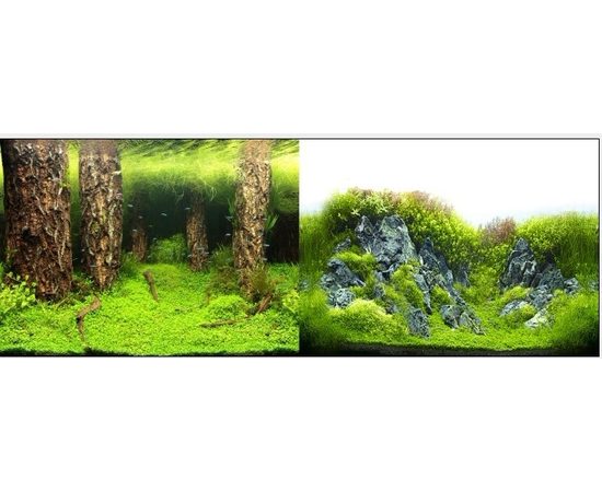 Фон двухсторонний 30см. Затопленный лес / Камни с растениями
