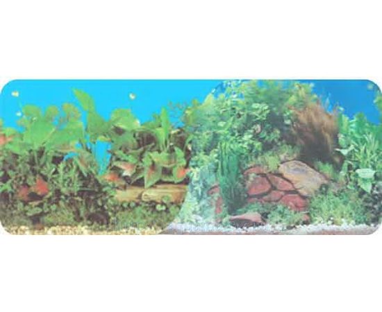 Фон двухсторонний 60см. Растительный нимфея (синий) / Растительный с камнем (синий)