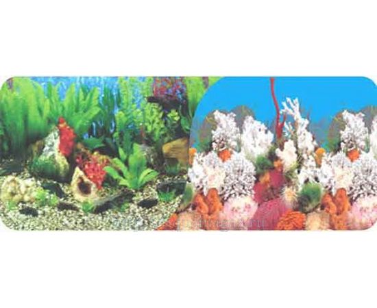 Фон двухсторонний 50см. Растительный пресн. / Белые кораллы морской