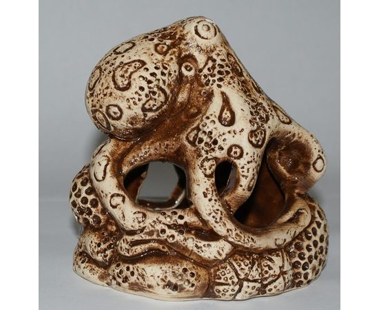 Осьминожка