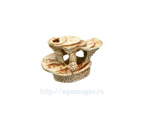 Черепаший пляж малый Черепаший пляж малый