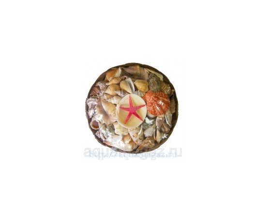 Набор раковин в корзинке (22см)