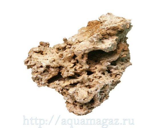 Камень Песчаник пещеристый желтый ,кг