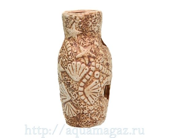 Амфора звезда