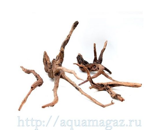 Декоративная коряга Слим Вуд , в коробке около 80 коряг размером от SS до L ADA Slim Wood SS-L Mixed