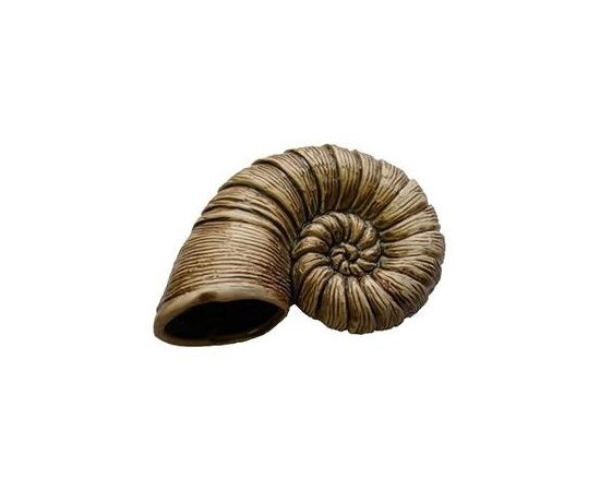 Наутилус Наутилус