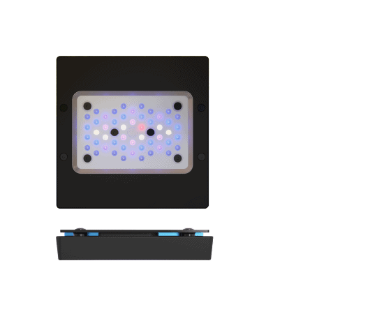 Radion XR15 G6 blue Radion XR15 G6 blue