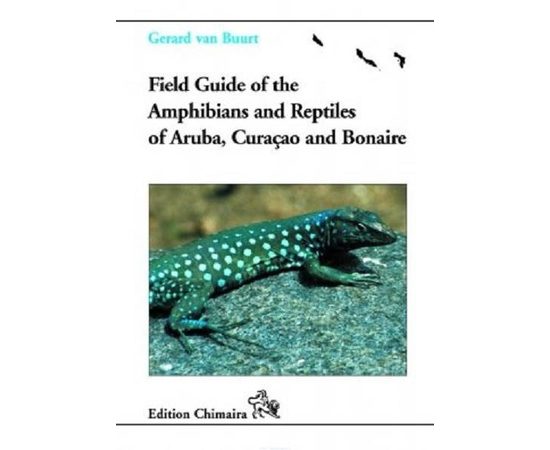 Книга Амфибии и рептилии Арубы,Куракао и Бонайры. Полевой атлас-определитель