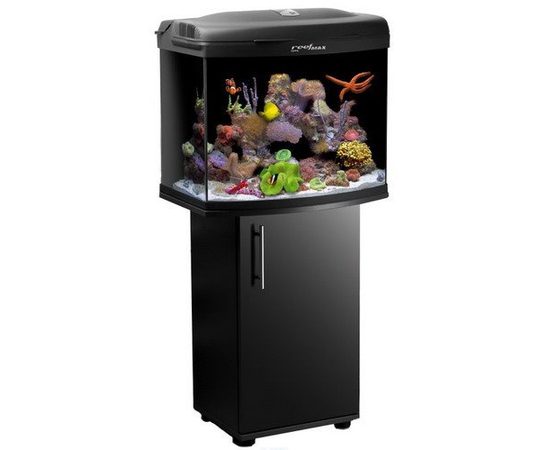 Тумба под аквариум  AQUAEL  REEFMAX  60х40х73см. Тумба под аквариум  AQUAEL  REEFMAX  60х40х73см.