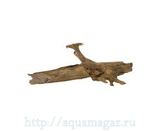 MANGRO M натуральная мангровая коряга (средняя) размер M Aquael 1\10