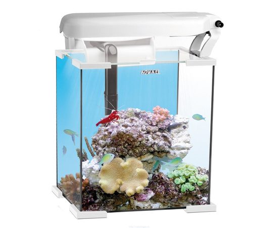 Аквариум морской NANO REEF  30, белый 30л (30x30x35), (спец.освещение Ecolight 2х11 Вт, лампа Marine, лампа Actinic,фильтр FZN-1