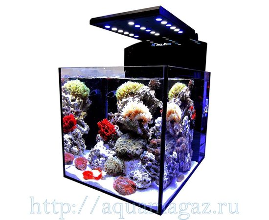 Аквариум нанорифовый Blenny advanced 80л, 40х50х40см, без тумбы