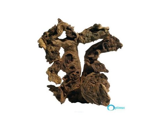 Коряга саванная H002