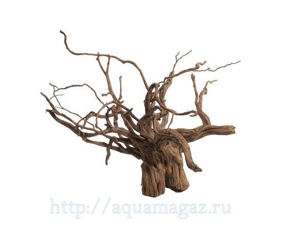 Красная коряга Штучная 1-2 кг.