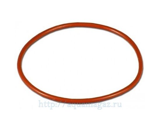 Кольцо уплотнительное для фильтра 2217 (большое)