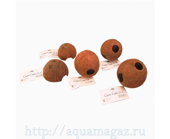 Пещера из целой кожуры кокоса среднего размера JBL Cocos Cava